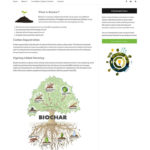 Biochar